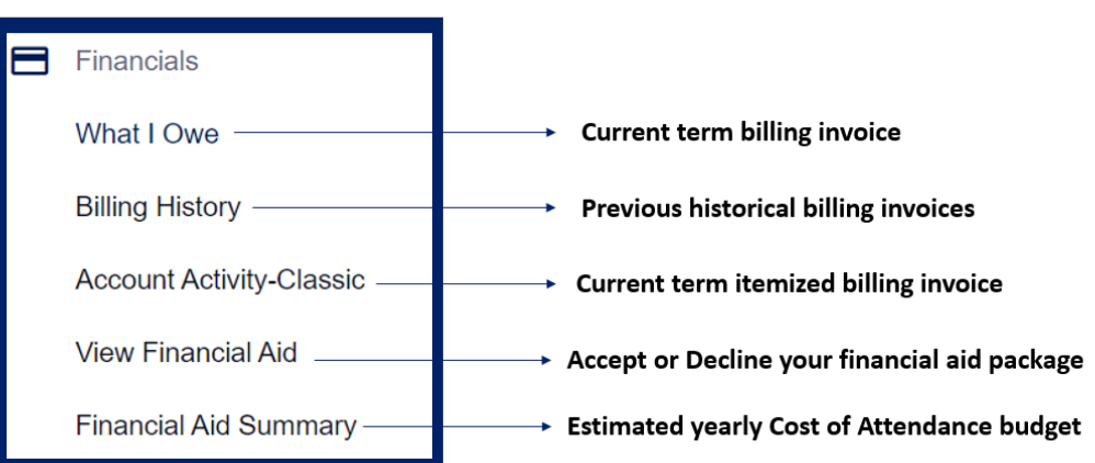 Tab with fill in the blank areas like "current" "previous" etc.